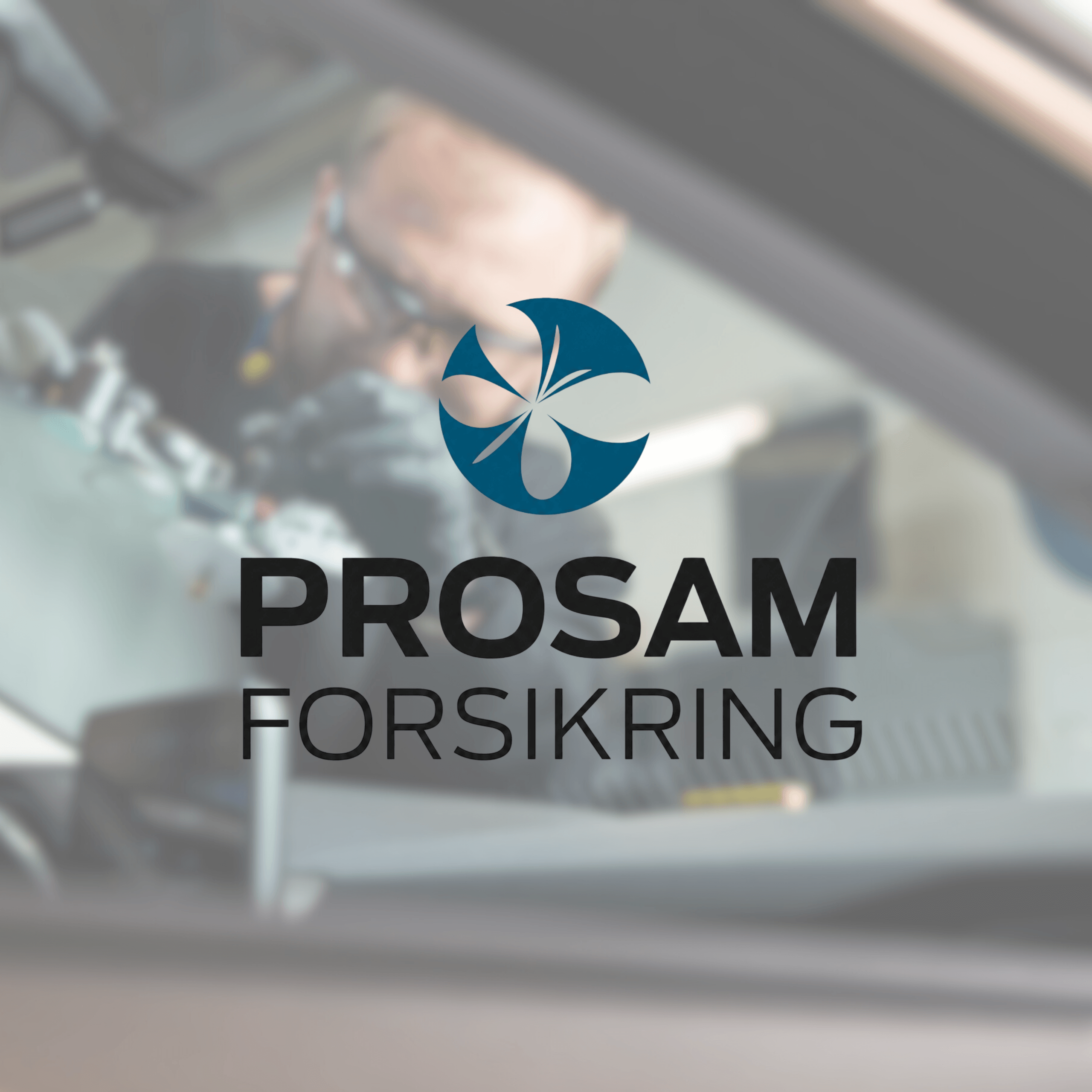 Prosam anbefaler Dansk Bilglas ved glasskade på bil