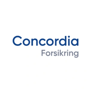 Reparation af Stenslag med Concordia Forsikring