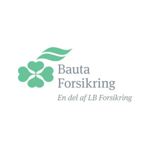 Reparation af Stenslag med Bauta Forsikring