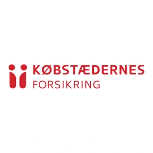 Reparation af Stenslag med Købstædernes Forsikring