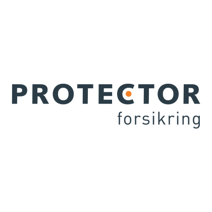 Reparation af Stenslag med Protector Forsikring