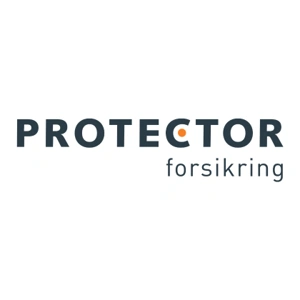 Reparation af Stenslag med Protector Forsikring