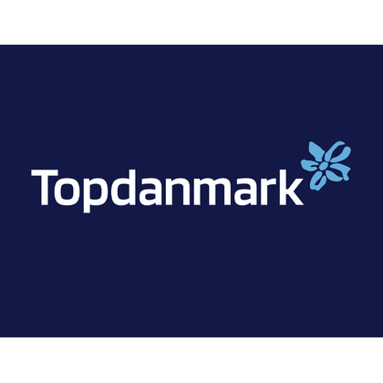 Reparation af Stenslag med Topdanmark