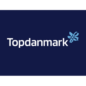Reparation af Stenslag med Topdanmark