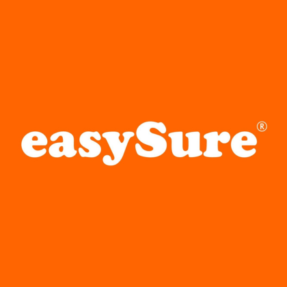 Reparation af Stenslag med EasySure