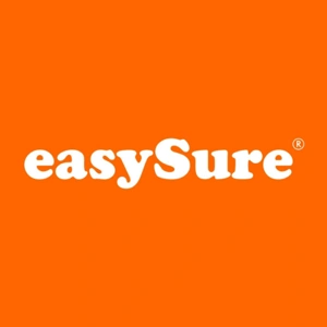Reparation af Stenslag med EasySure
