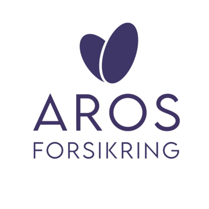 Reparation af Stenslag med Aros Forsikring