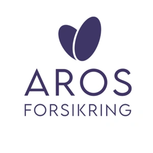 Reparation af Stenslag med Aros Forsikring