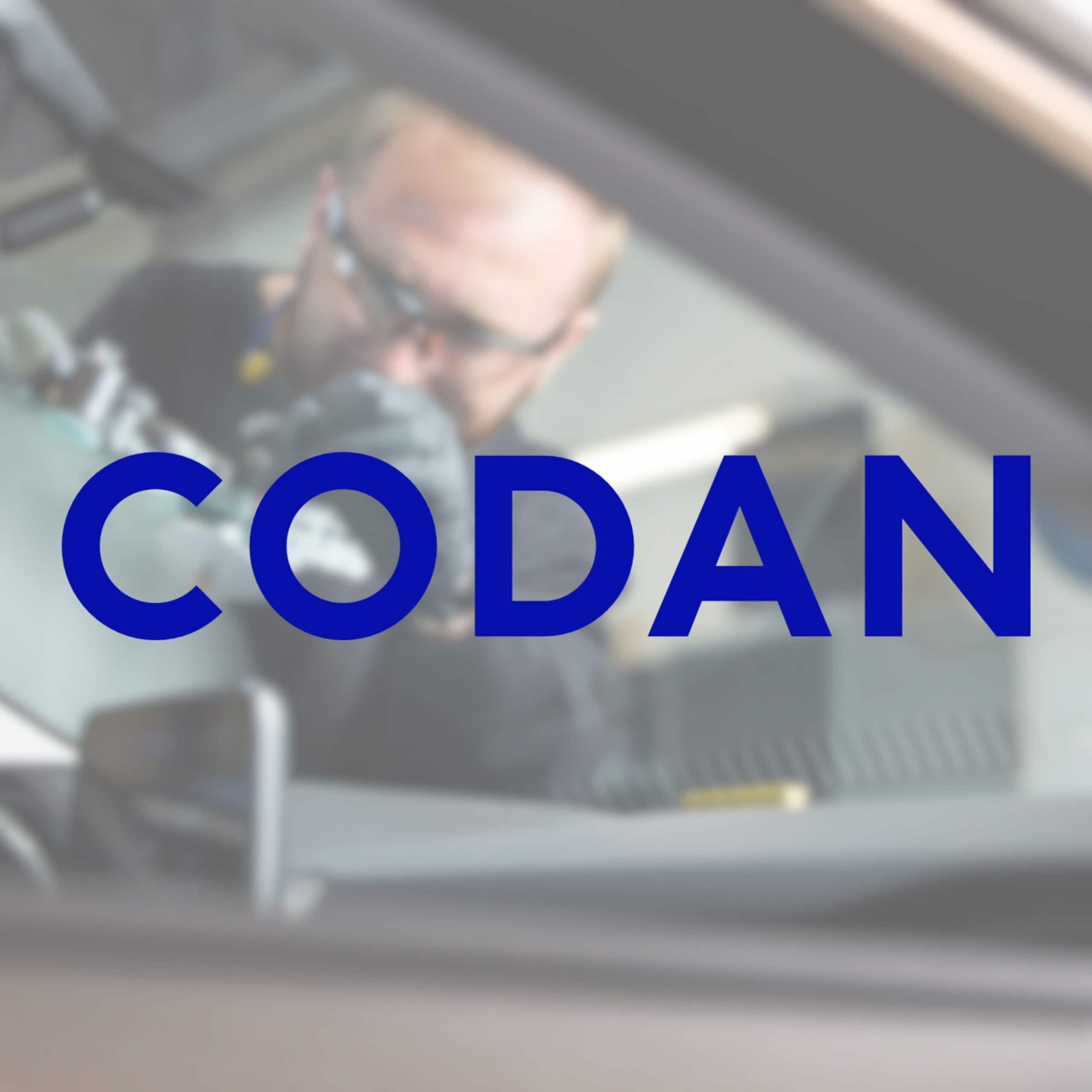 Codan Forsikring | Stenslag | Book en tid hos Dansk Bilglas