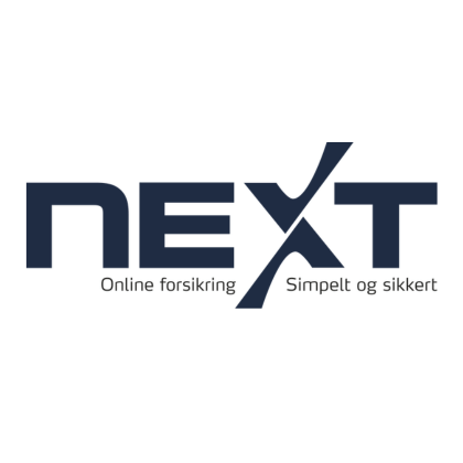 Reparation af Stenslag med NEXT Forsikring