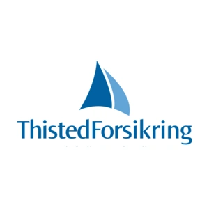 Reparation af Stenslag med Thisted Forsikring