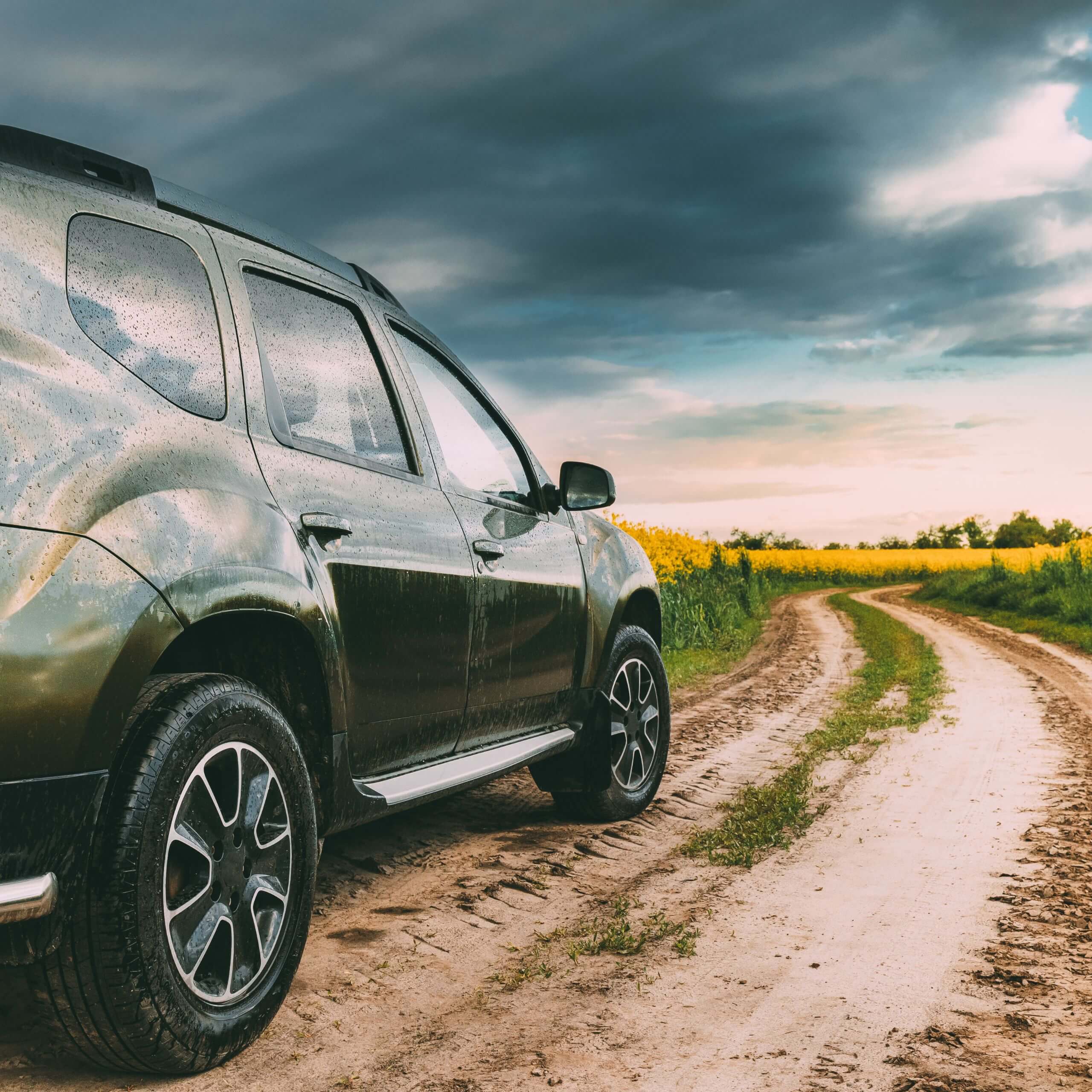bilruder til dacia