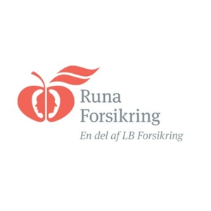 Reparation af Stenslag med Runa Forsikring