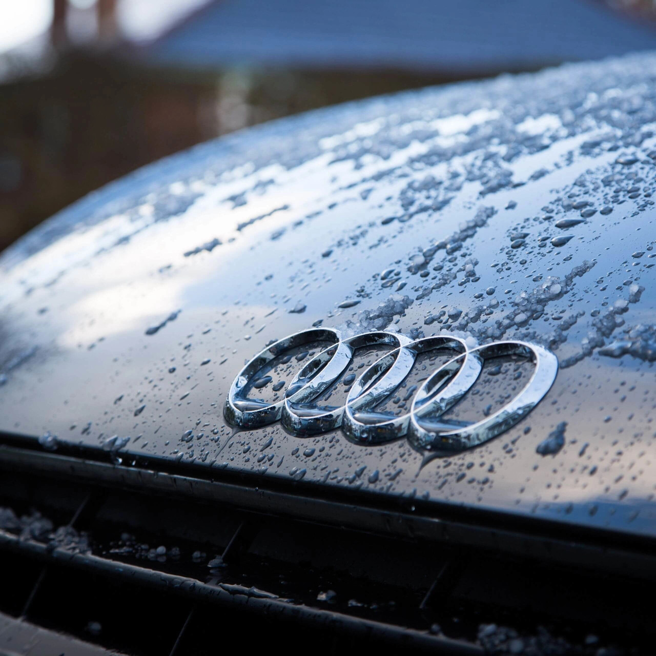 ny rude Audi