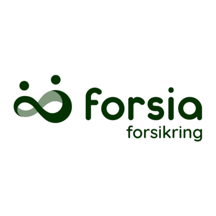 Reparation af Stenslag med Forsia Forsikring