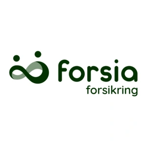 Reparation af Stenslag med Forsia Forsikring